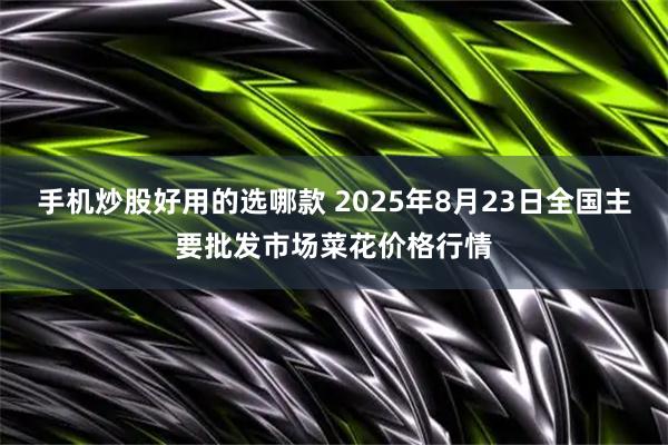 手机炒股好用的选哪款 2025年8月23日全国主要批发市场菜花价格行情